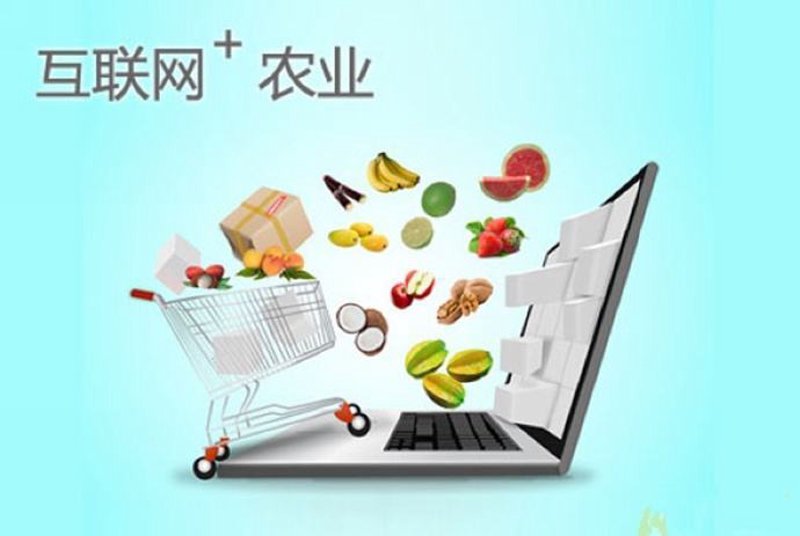 如何在农产品电商领域合法避税？——对比分析不同政策下的优劣