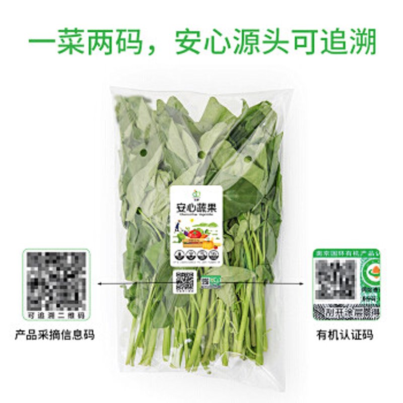 生态养殖黄鳝：如何实现高产与绿色并存？