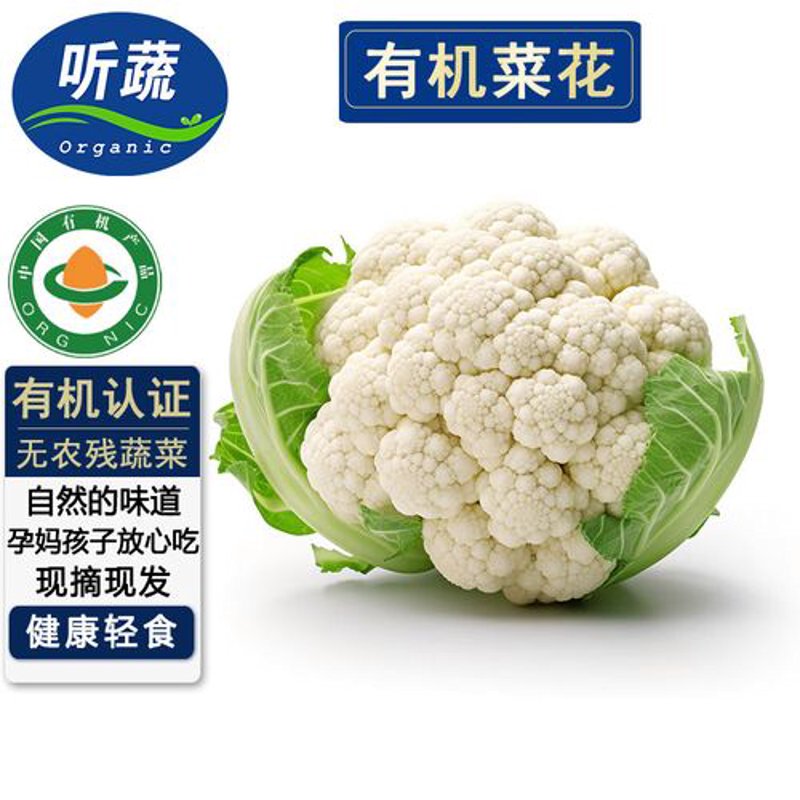 生态养殖黄鳝，如何实现高产与环保并存？
