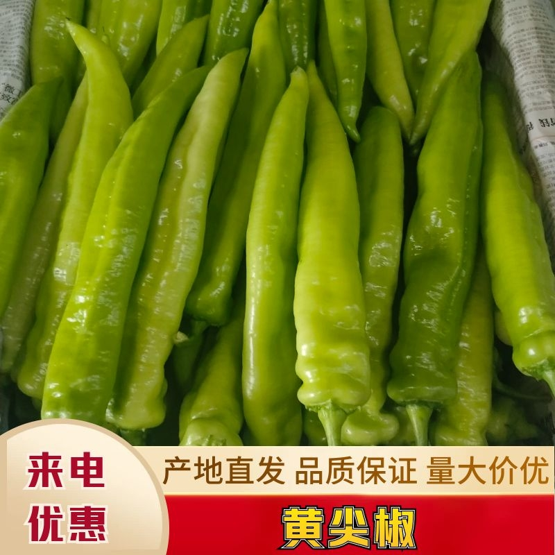 农产品电商：一场农村的数字化革命