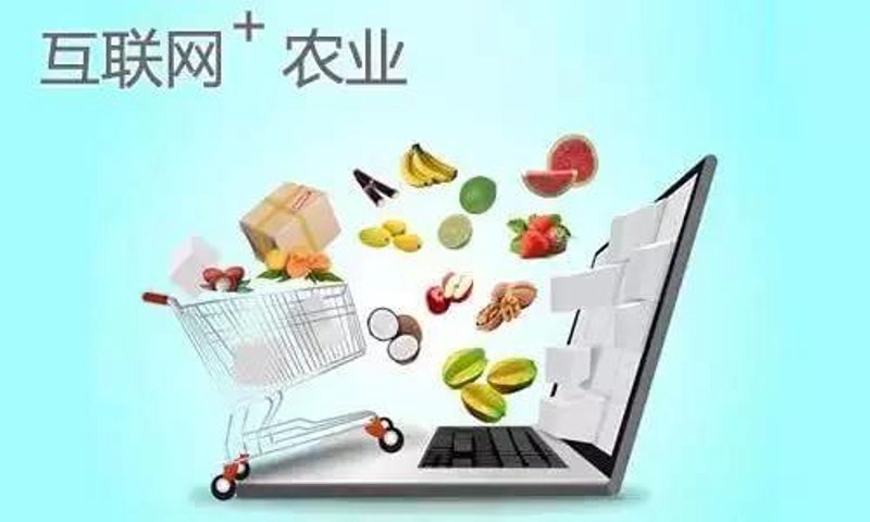 农产品电商:行业现状与未来趋势